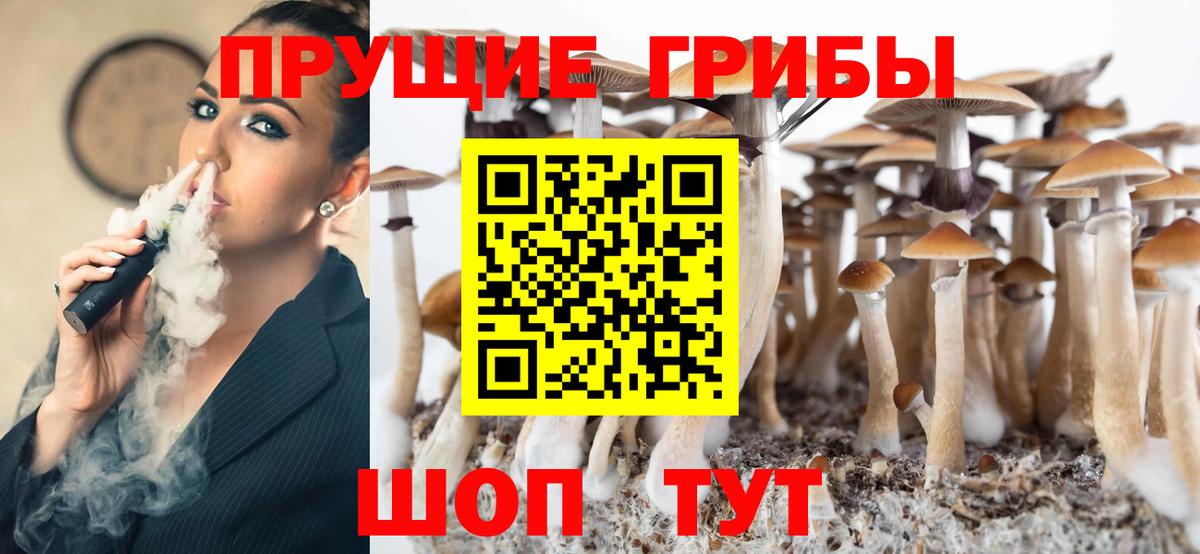 Кировск  купить наркоту  Вход с VPN  Галлюциногенные грибы Cubensis 